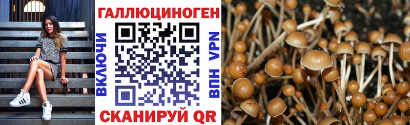 Галлюциногенные грибы мицелий  Электросталь 